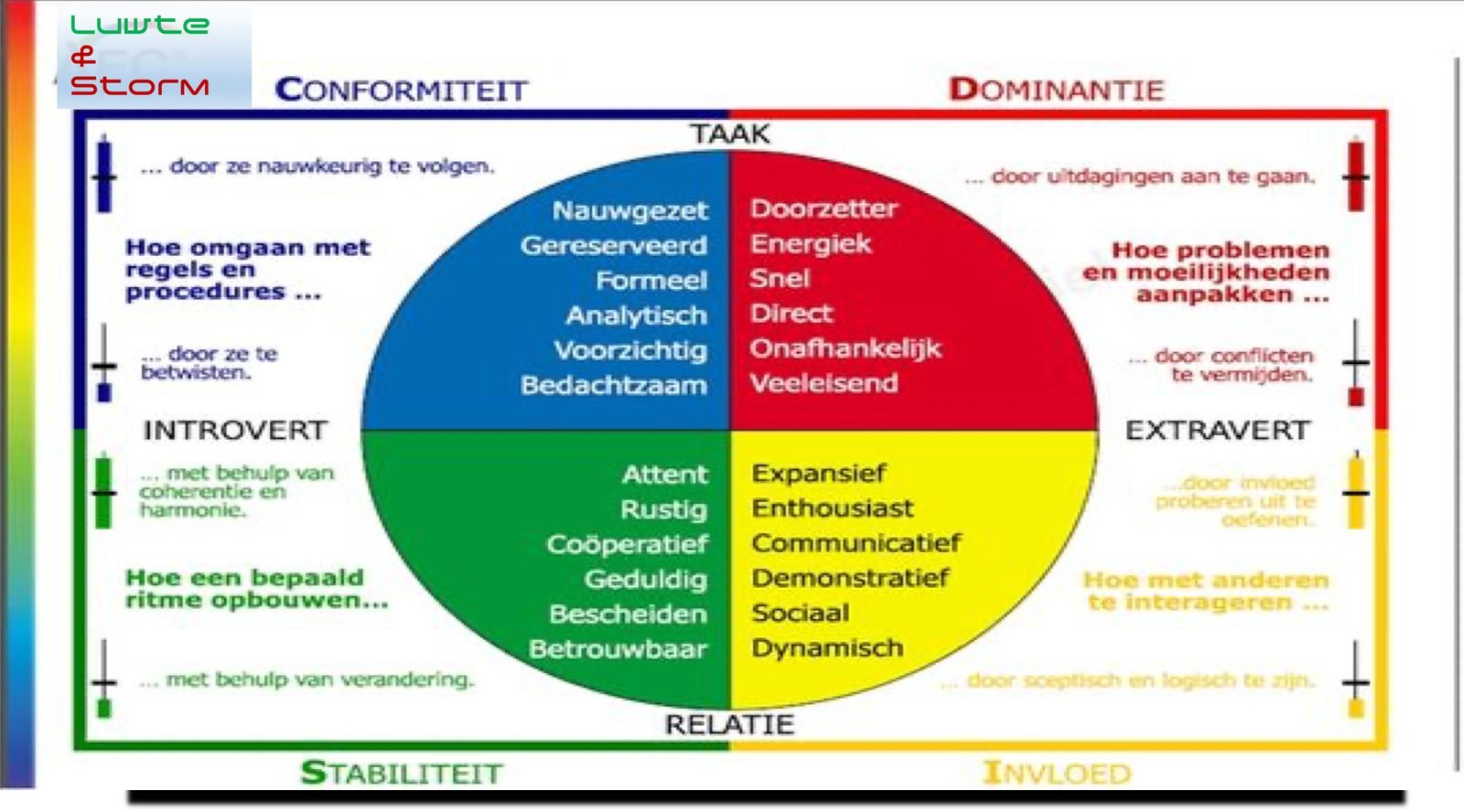 Voorbeeld van een Discover teamanalyse met gedragsstijlen